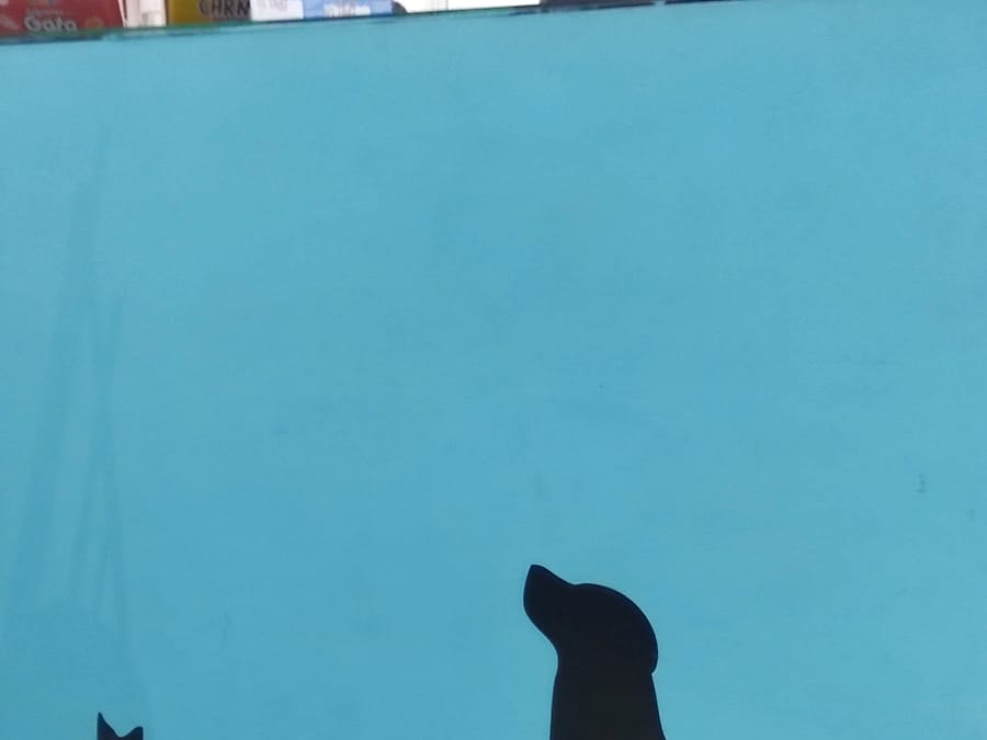 Siluetas de perros en la pared del hospital