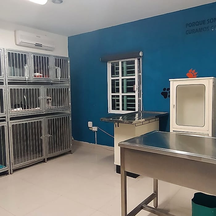 Área de hospitalización con jaulas y mesa de exploración