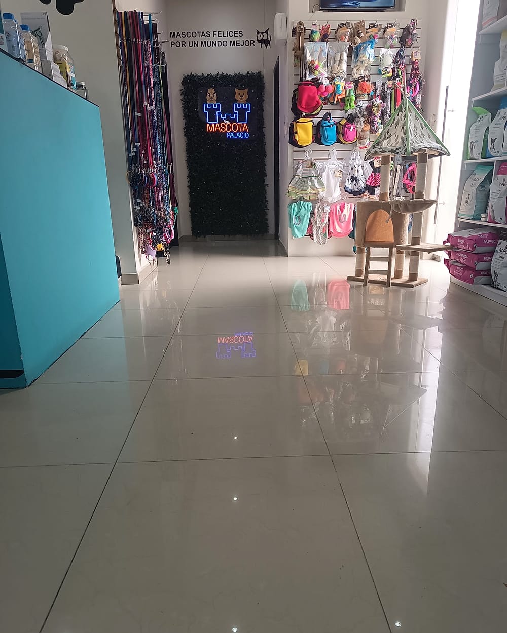 Pasillo y tienda del hospital Mascota Palacio